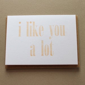 Image of I Like You A Lot Card