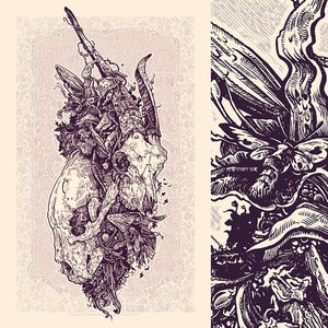Image of Flora & Fauna