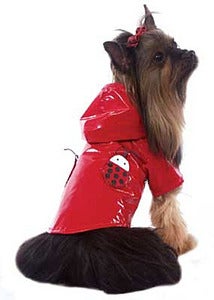 Image of Lady Bug Raincoat - Red & Yellow