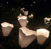 Image of [ sous les lampions ]