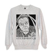 Image of ATTENBOROUGH! sweater