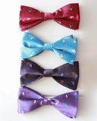 Image of Bow-tie Elements of Harmony 4/6 Set