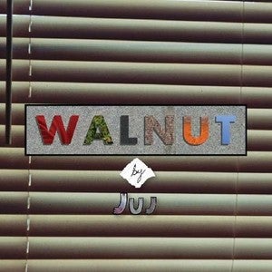 Image of Juj - Walnut 12" Vinyl 