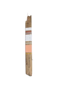Image of Sandy no. 25