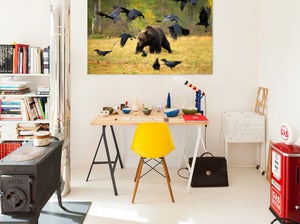 Image of Finland/Russia - Bear