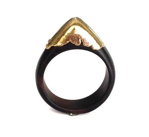 Image of Gold dipped wood Ring