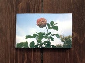Image of little book of roses zine