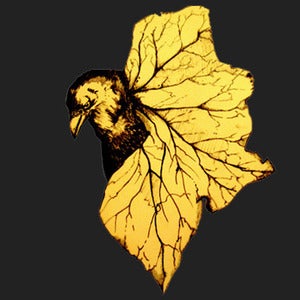 Image of Fade To Fall [CD]