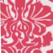 Image of Squidikat/ Pink