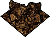 Image of GOLD DIGGER