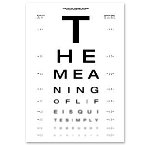 Image of The Meaning of Life