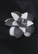 Image of BLOSSOM CLIP/PIN Cream & Slate, Petite