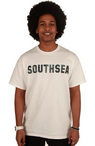 Image of Southsea seafont