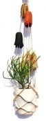 Image of Waterfalls Plant Hanger