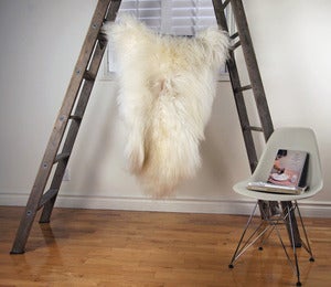 Image of Large Spotted Sheepskin SP-162