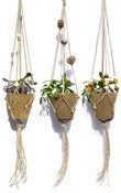 Image of Beaded Plant Hangers