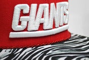 Image of Giant Zebra