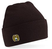 Image of Flying Eyeball Embroidered Beanie