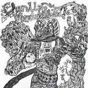 Image of Chin Up Merriwether - Fruitition LP