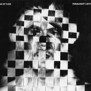 Image of Altar Of Flies — Permanent Cavity (CD, iDEAL)