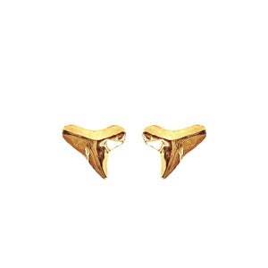 Image of Shark Tooth Stud Earrings