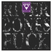 Image of PD-077 RIVER BONES - FUCK CDR