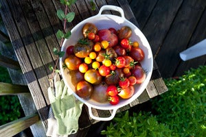 Image of Dad's Heirlooms (Summer)