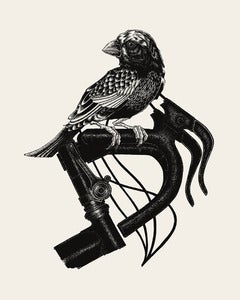 Image of Bird on Bike // 16x20 Artprint