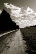 Image of The Dirt Road