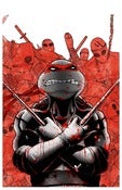 Image of ALTERNATE RAPHAEL - TMNT TEENAGE MUTANT NINJA TURTLES