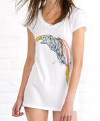 Image of Toucan