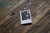 Image of Suzanna Zak - Now Dim