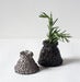 Image of Rasmus Vases 5 and 6