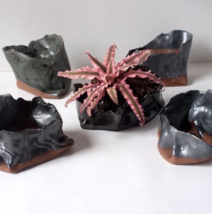 Image of Assorted Free-form Folded Planters