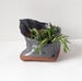 Image of Assorted Free-form Folded Planters