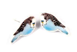 Image of Budgie Earrings