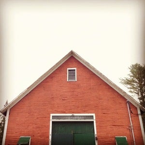 Image of Good Wood (Set of 3 Instagram prints)
