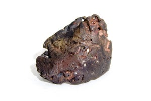 Image of Mollusk Ring