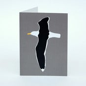 Image of Greater black-backed gull card