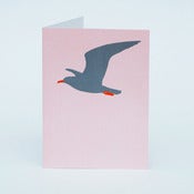 Image of Herring gull card