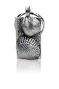 Image of Shells