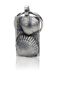 Image of Shells