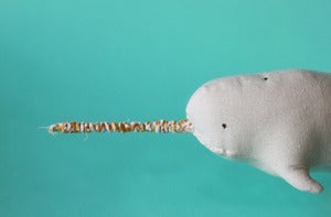 Image of MR NARWHAL