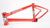 Image of Benny Lewis Frame