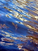 Image of Fluidity