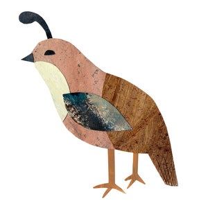 Image of Quail Original Art