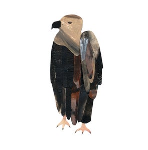 Image of Vulture Original Art