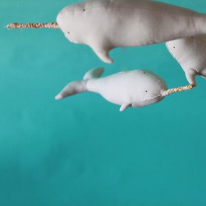 Image of MR NARWHAL