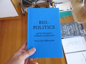 Image of Bio-Politics and the Emergence of Modern Architecture