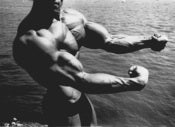 Image of Forearms 11" x 14"